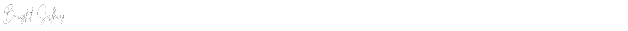 Sample characters Bright Salkiy Font